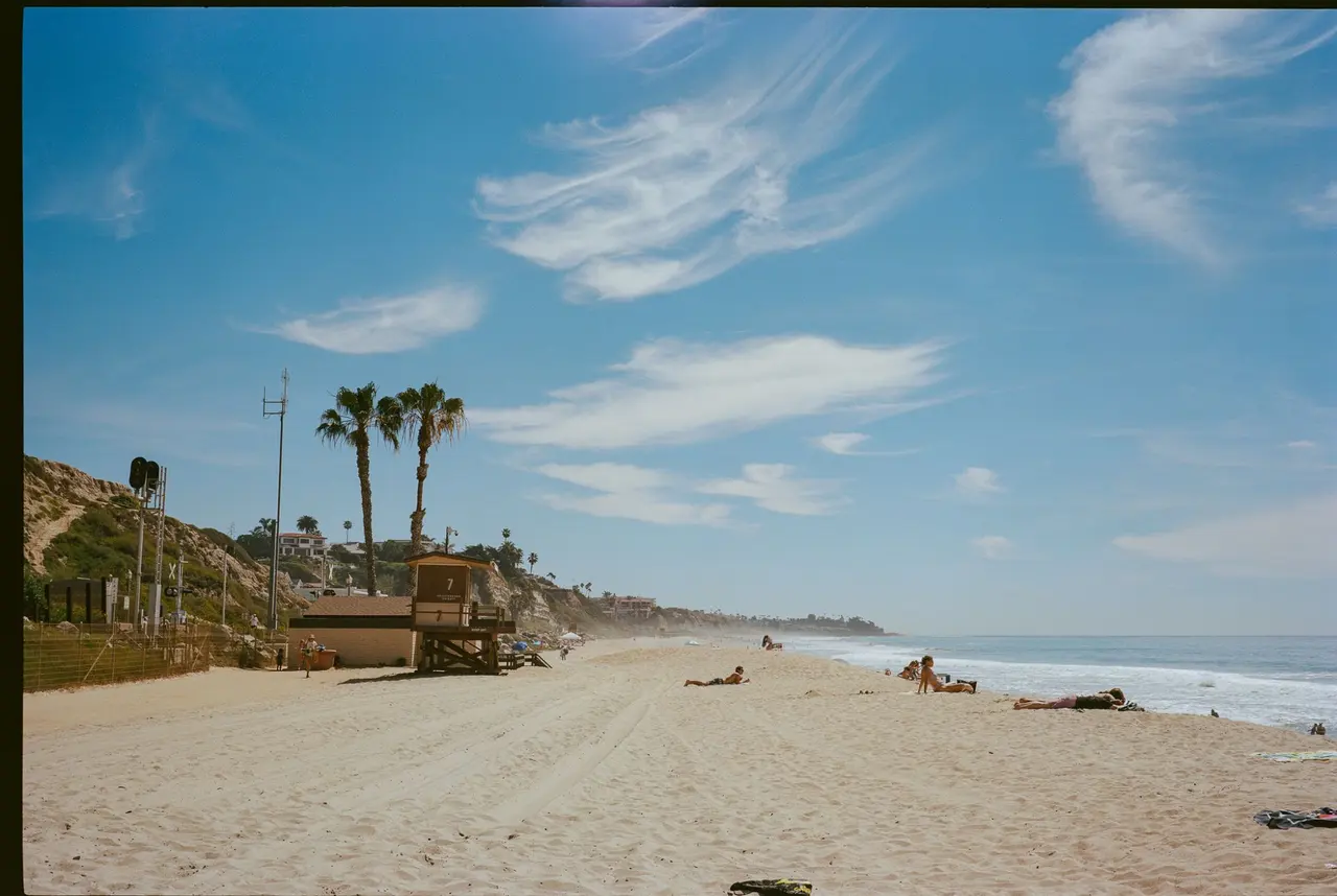 A numbered lifeguard tower on an empty beach, palms on the bluff above