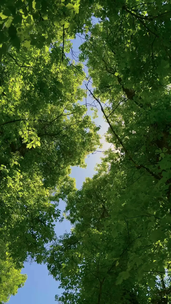 Cover frame from a TikTok video posted 27 May 2025