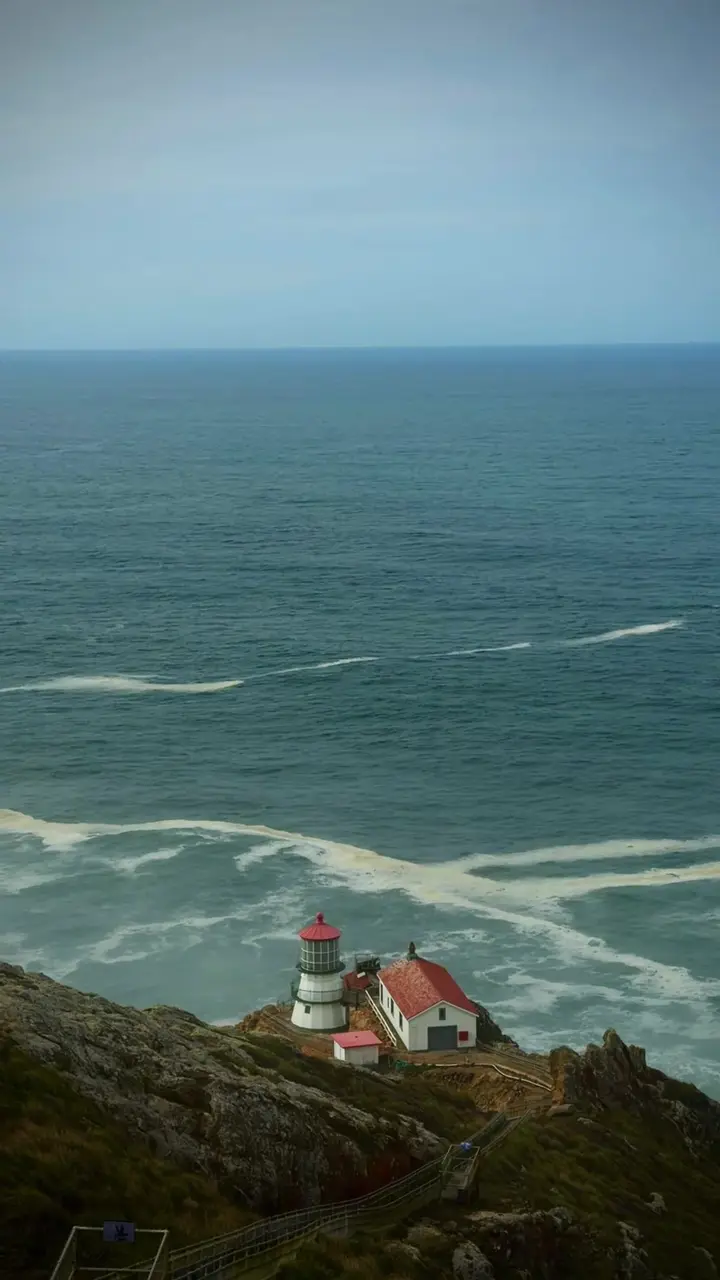 Cover frame from a TikTok video posted 21 August 2026